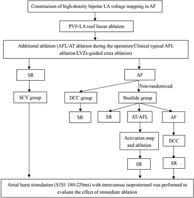 Comparison of clinical outcomes of Ibutilide-guided cardioversion and direct current synchronized cardioversion after radiofrequency ablation of persistent atrial fibrillation